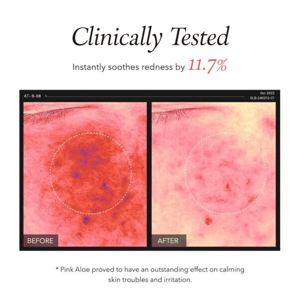 aprilskin pink aloe facial polish cleanser