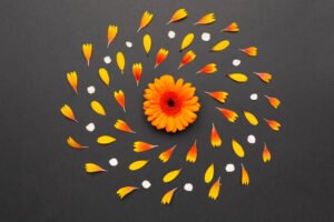 Calendula Petals